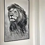 Lions Place Premium Business Optionaler Zugang Zum Spa- Bereich Apartament *