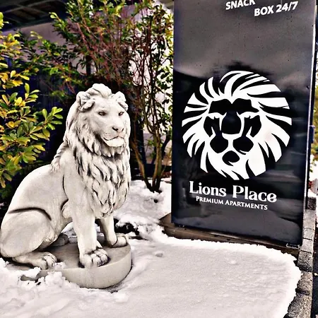 Lions Place Premium Business Optionaler Zugang Zum Spa- Bereich