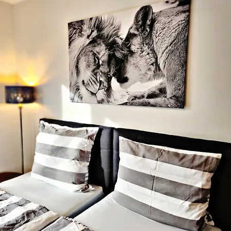 Lions Place Premium Business Optionaler Zugang Zum Spa- Bereich