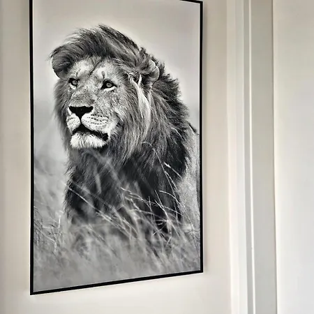 Lions Place Premium Business Optionaler Zugang Zum Spa- Bereich Apartment *