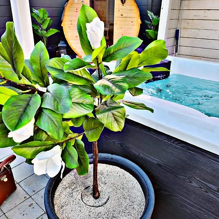 Lions Place Premium Business Optionaler Zugang Zum Spa- Bereich Apartamento Heidenheim an der Brenz